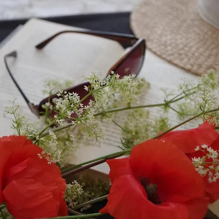 Homestay Apart Studio Rambiert